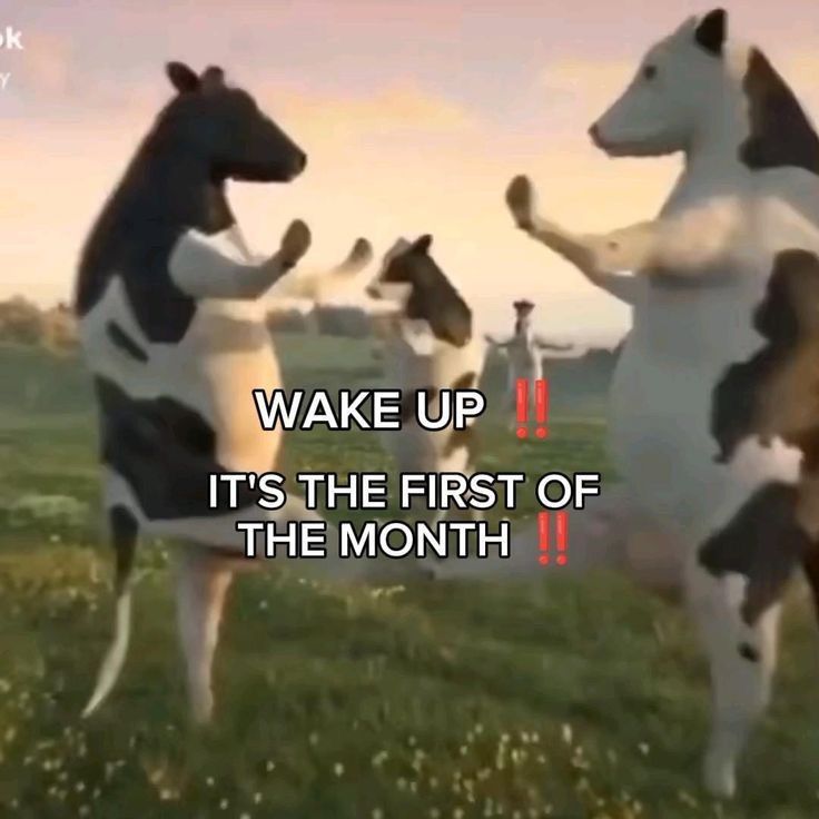 happy august🗣️❗️