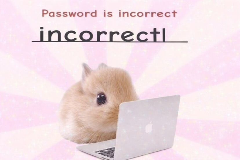 🐰