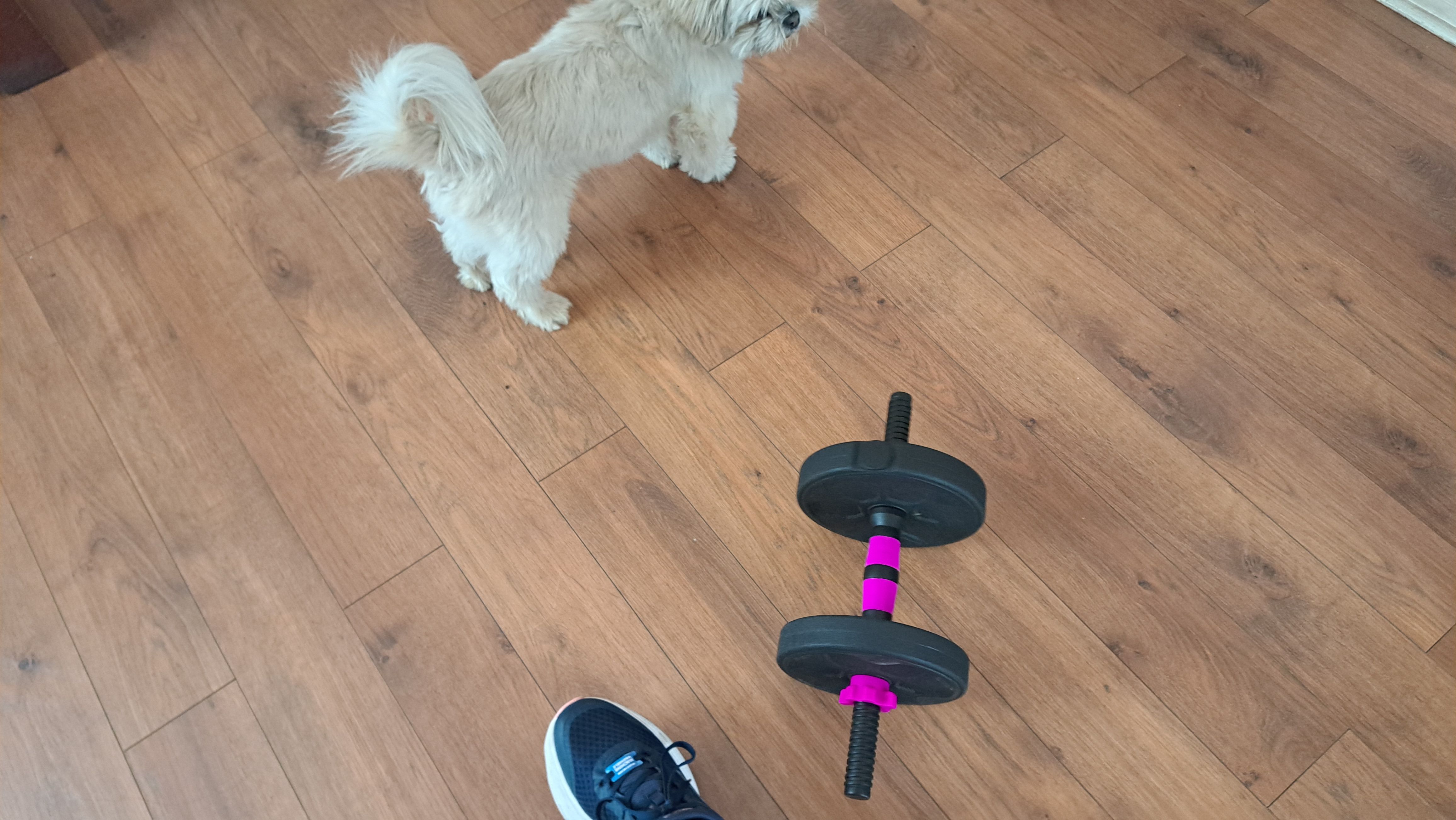 let's talk while I'm training 😋