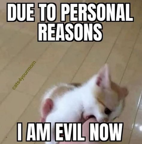 yes