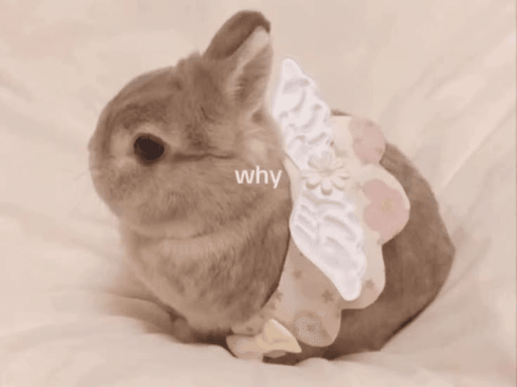 Why is every game so boring ૮(◞ ‸ ◟ )ა
