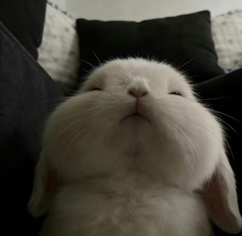 eepy