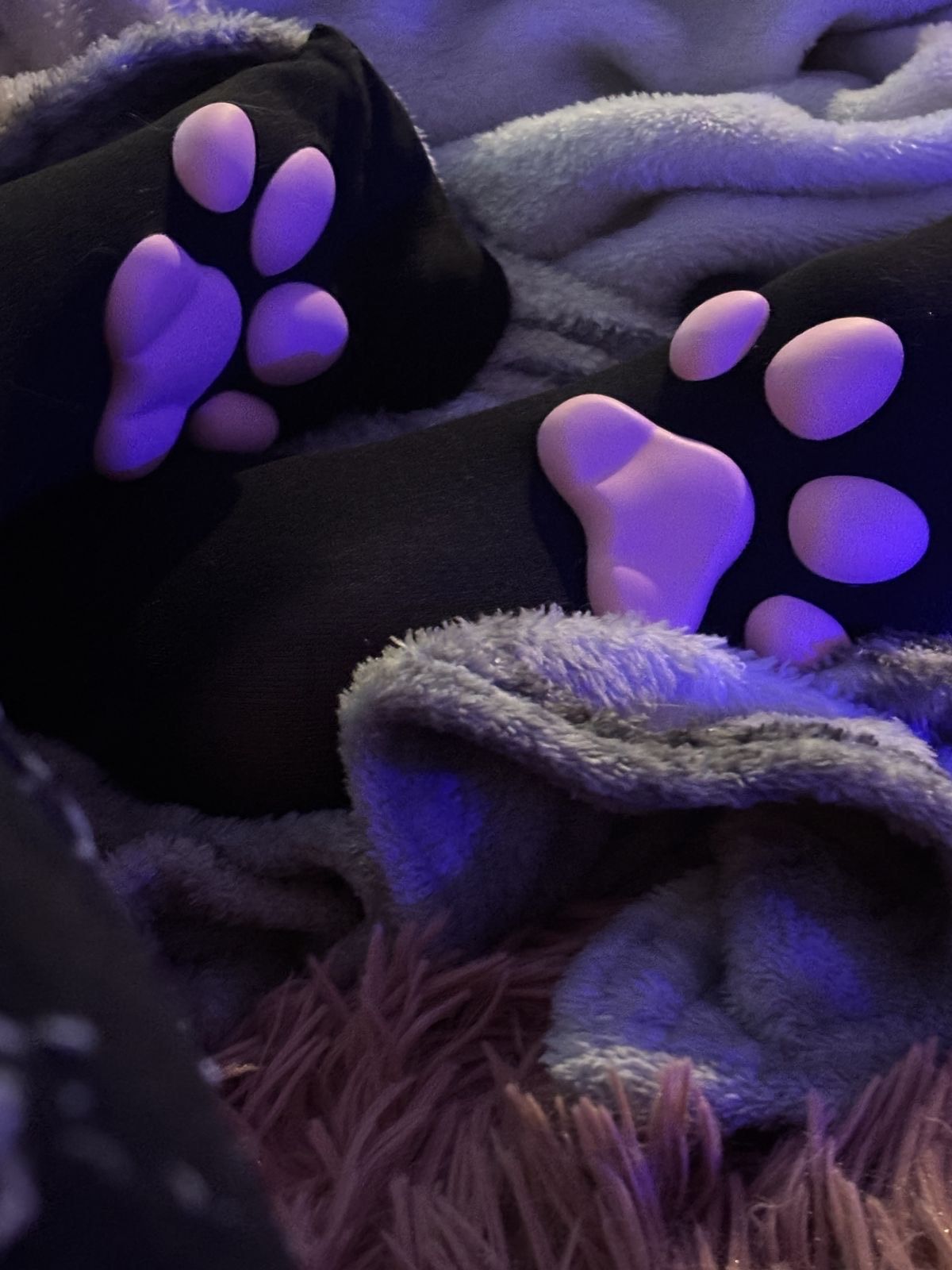 ‧˚꒰🐾୭ ˚. ᵎᵎ