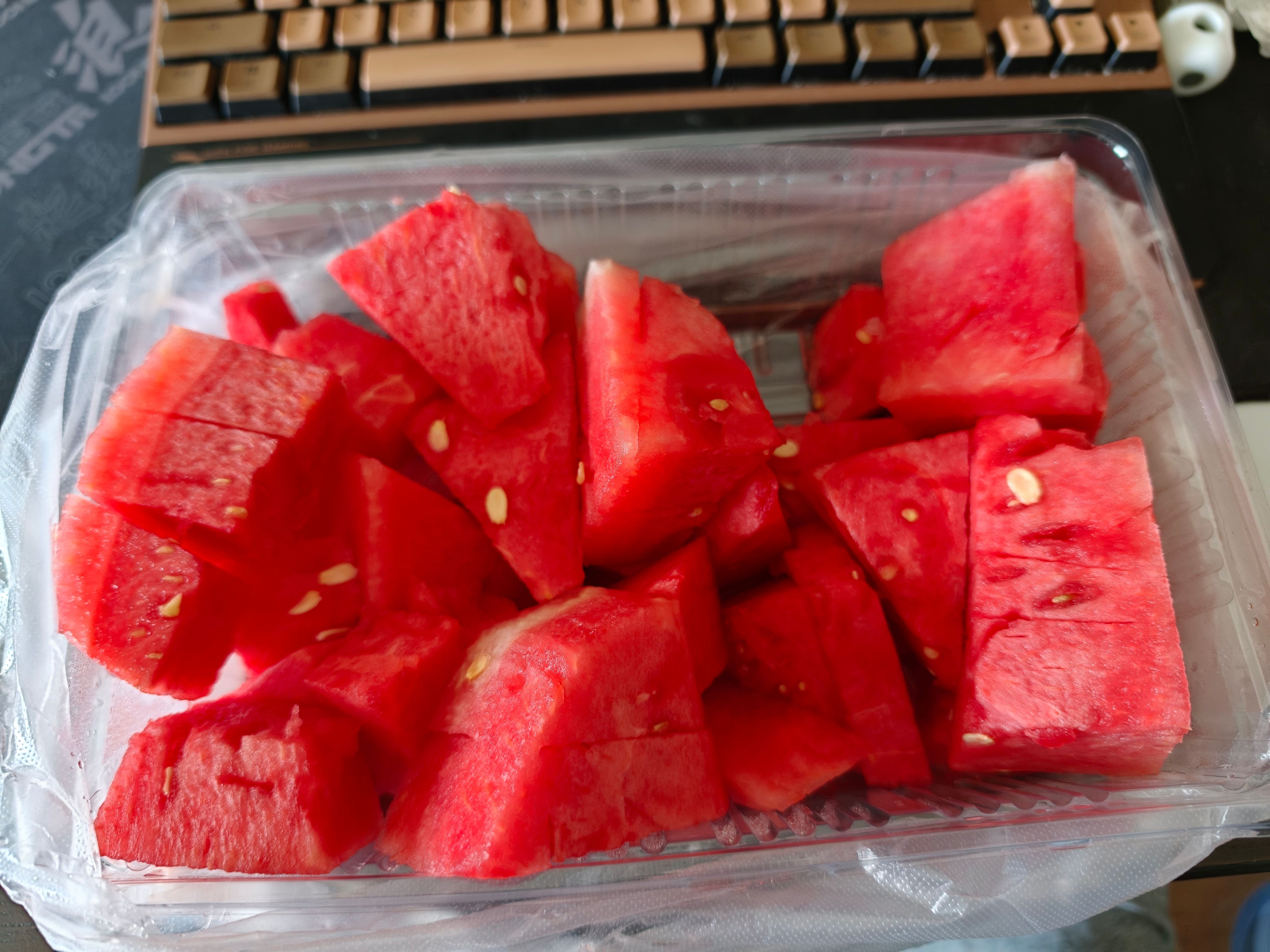 Order Floy's art commission i buy u watermelon 🍉