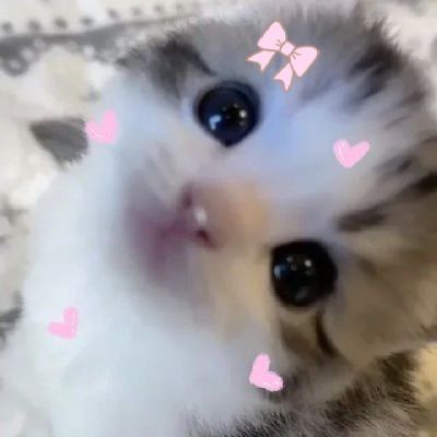 ♡
