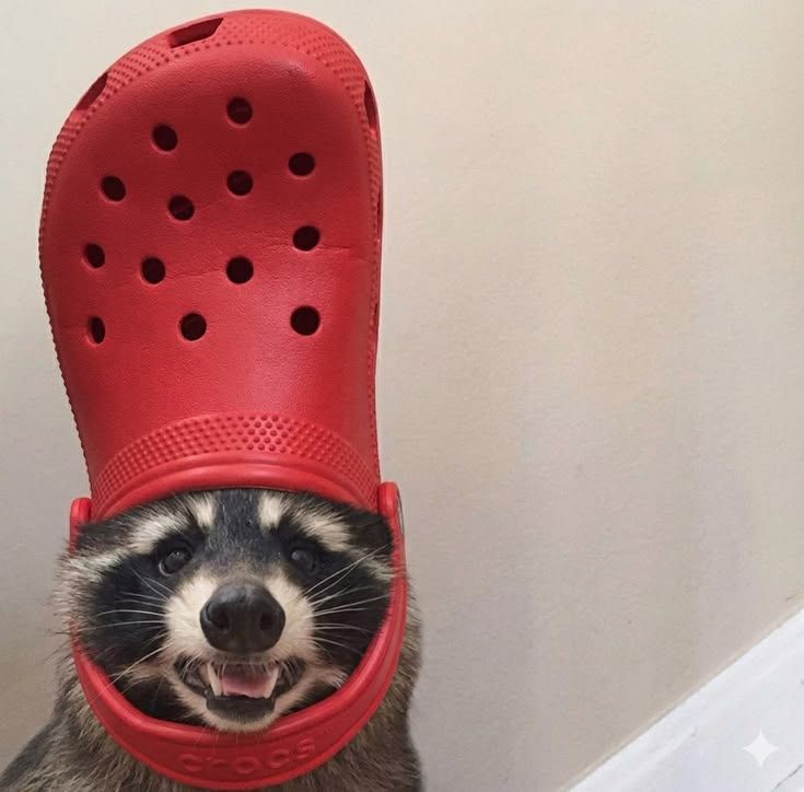 sup.