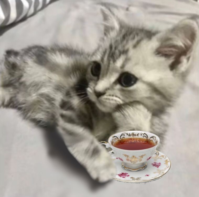 <3