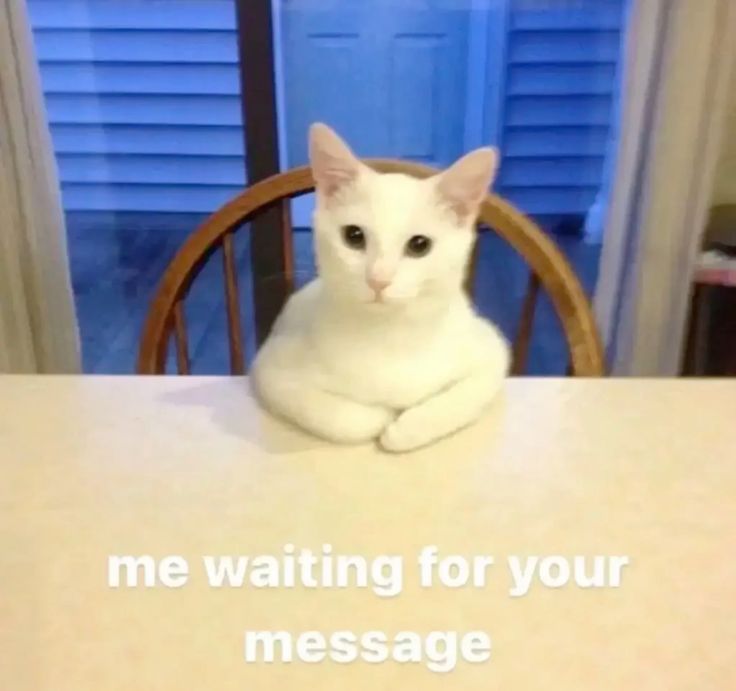 ♡