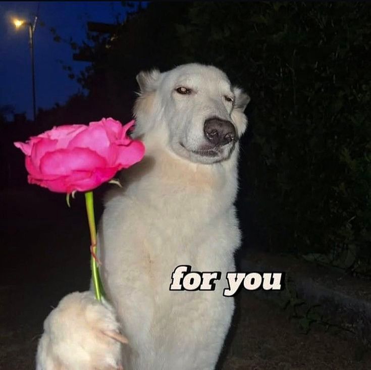 ♡