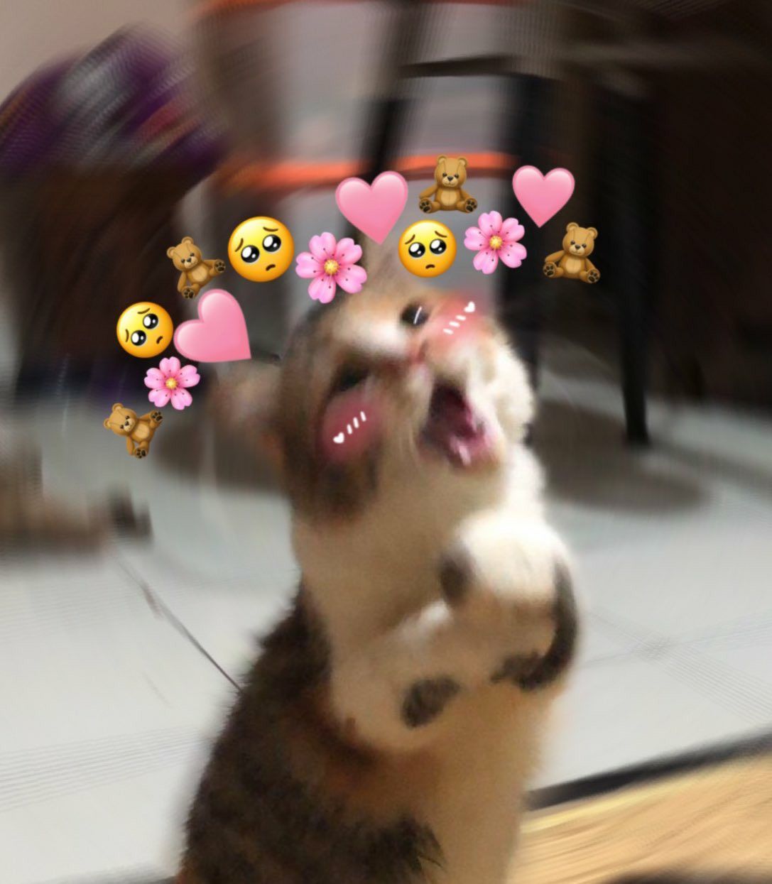 ♡
