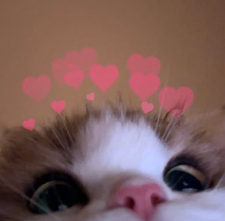 ♡