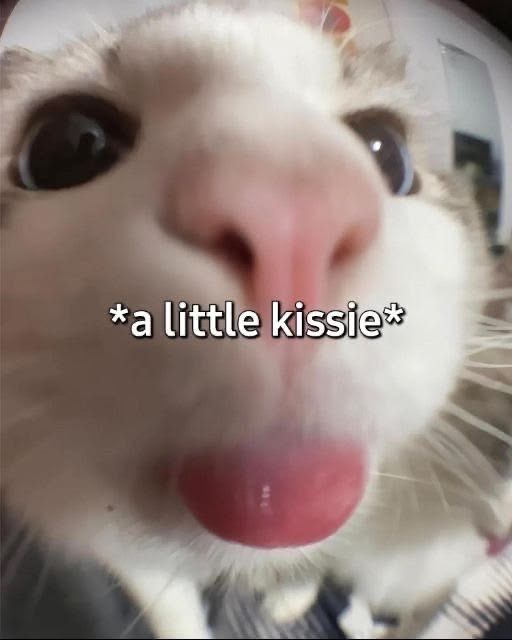 ♡