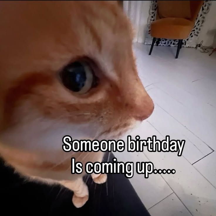 BIRTHDAY LOADING... 31st :3
