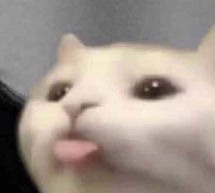 ✧ BLEH BLEH BLEH ✧