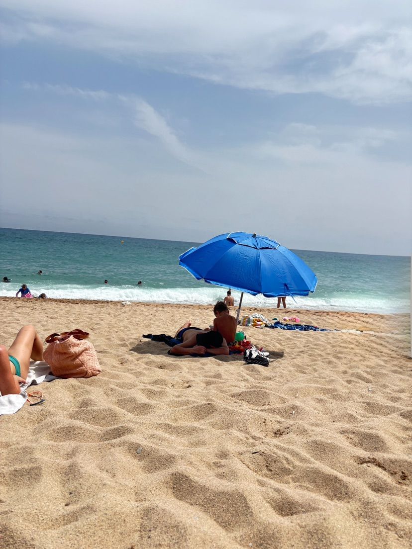 beach day with sydney