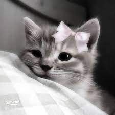 I'm ready to play with you <3