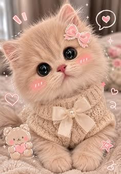 meow´?