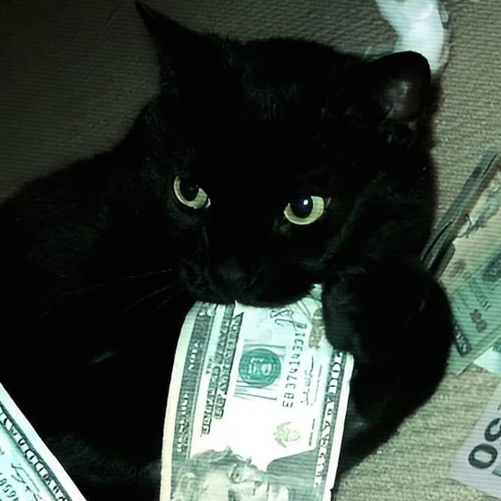 moneyhhh