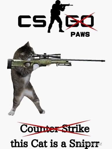 lets play cs :3