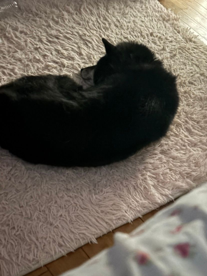 my baby boy