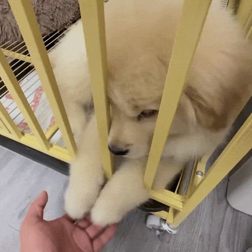 slept all day…