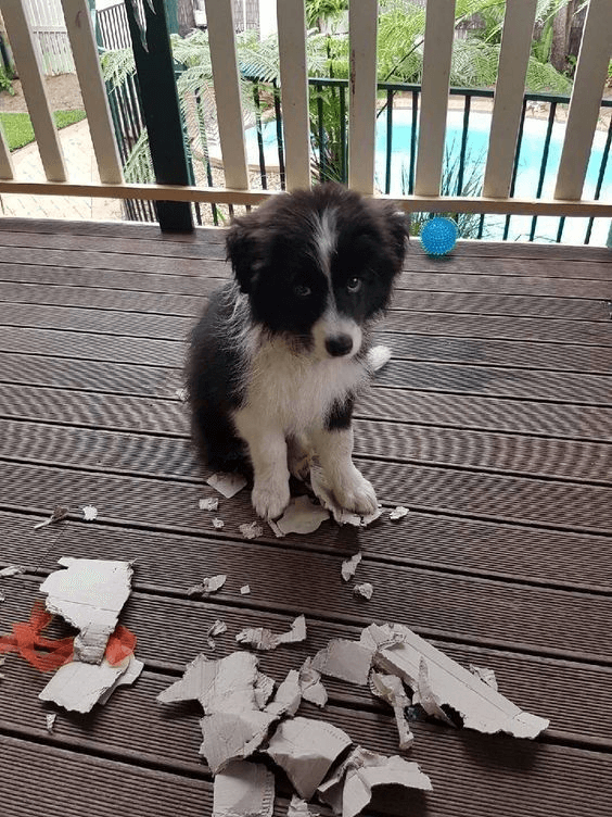 i broke it