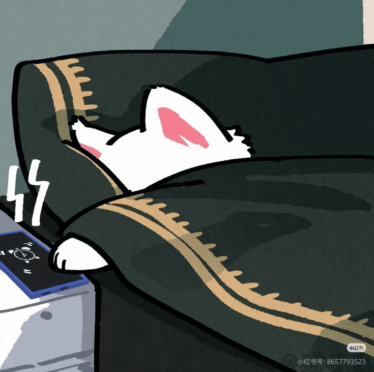zzz