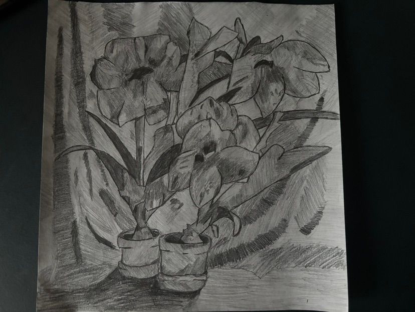 more drawings for school!