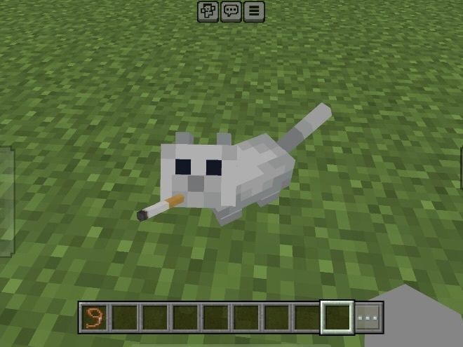 meow