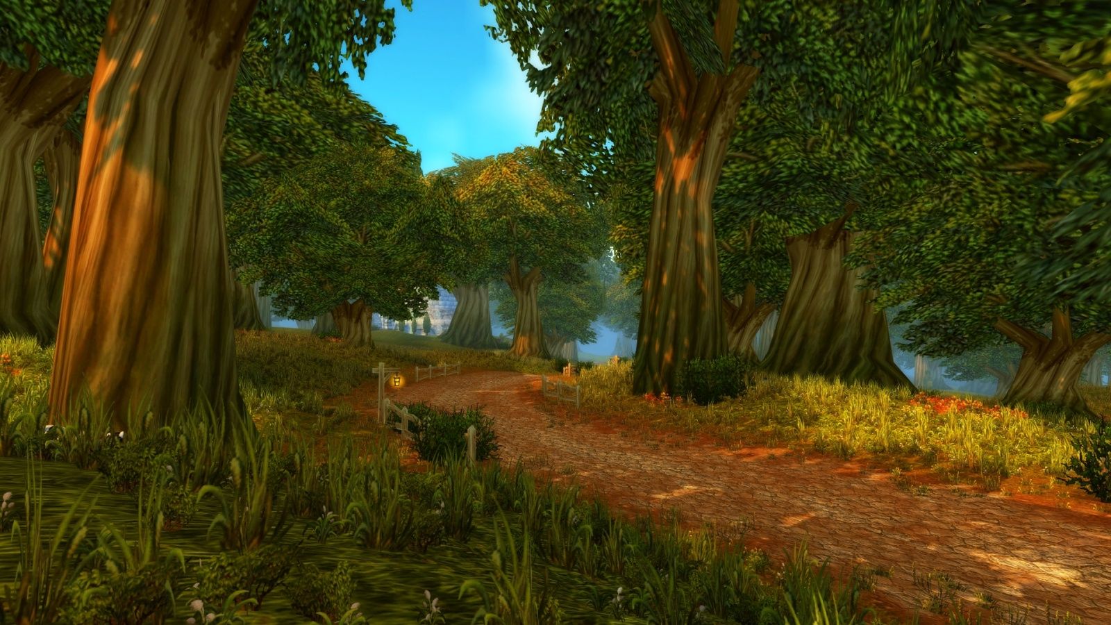 Elwynn forest