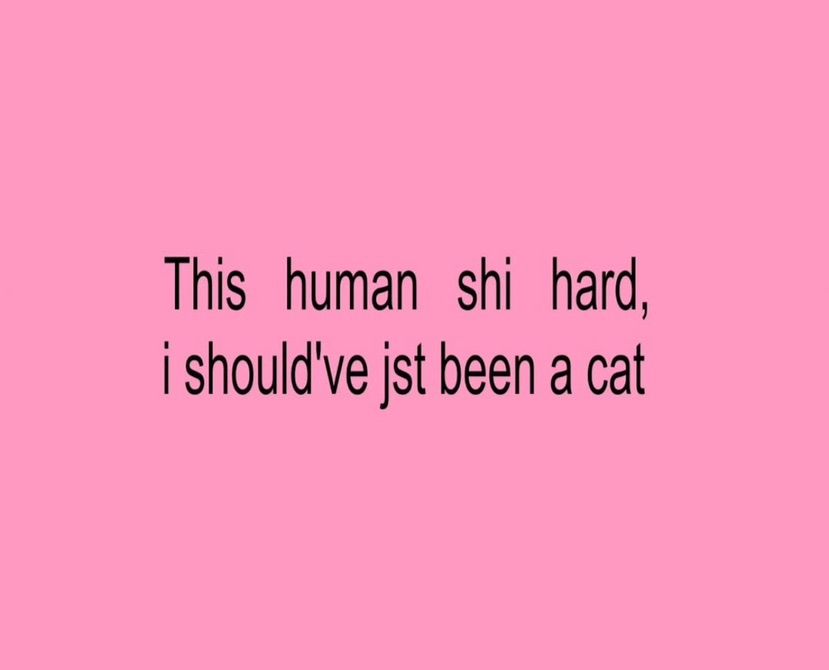 ₍ᐢ..ᐢ₎♡