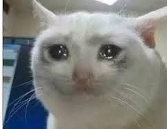 does anybody know a good anime without blood