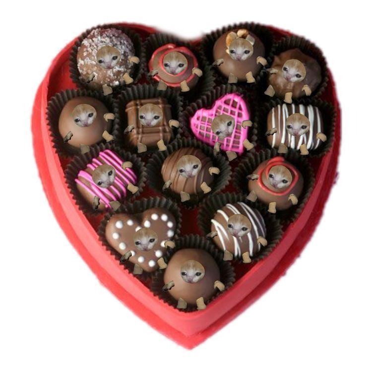 i love chocolateeeee <33