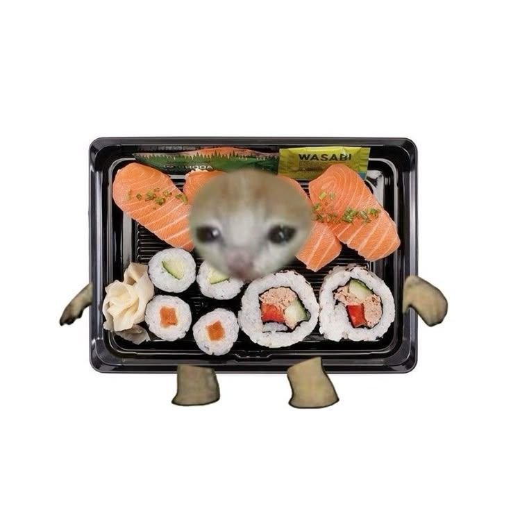 MY LOVE FOR SUSHI WOULD NEVER FADE AWAYS WALLAHI
