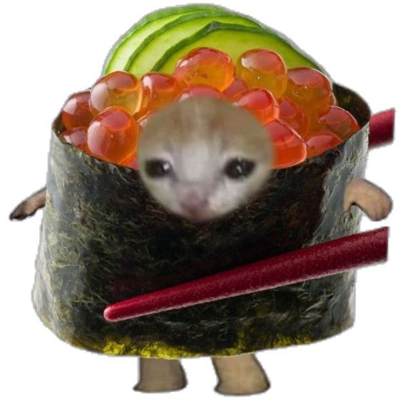 I LOVE SUSHIIIII <3