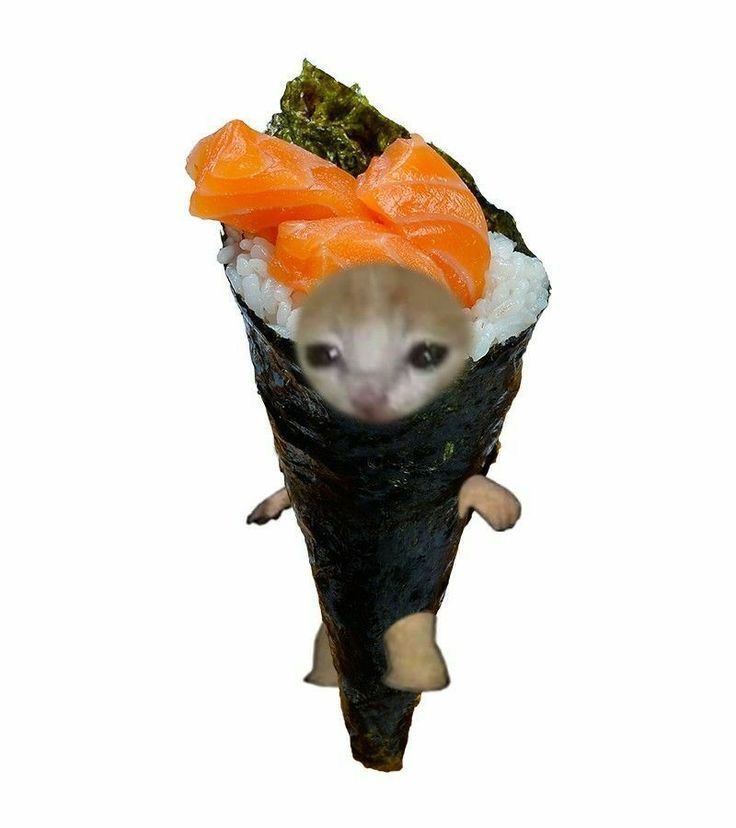 goodmorning everynyan