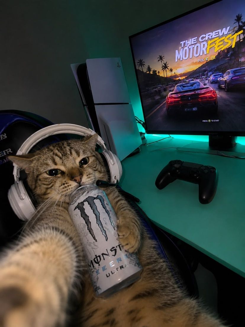 purrformance mode: ON