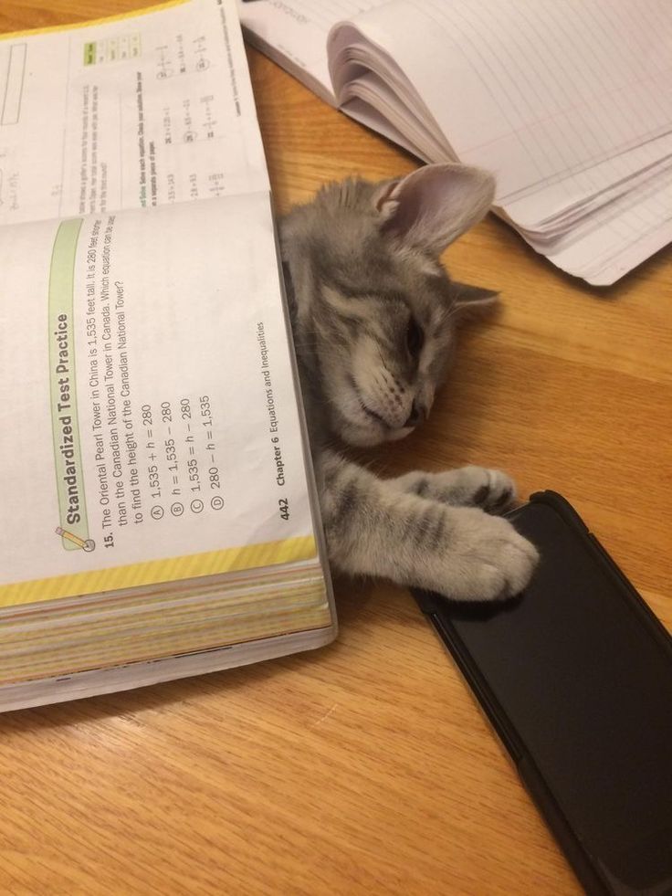🗒 ❛ It's monday again ༉‧₊˚✧
