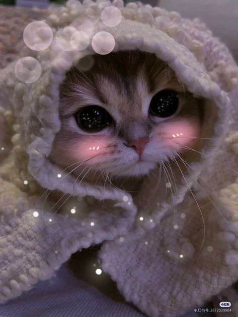 hii