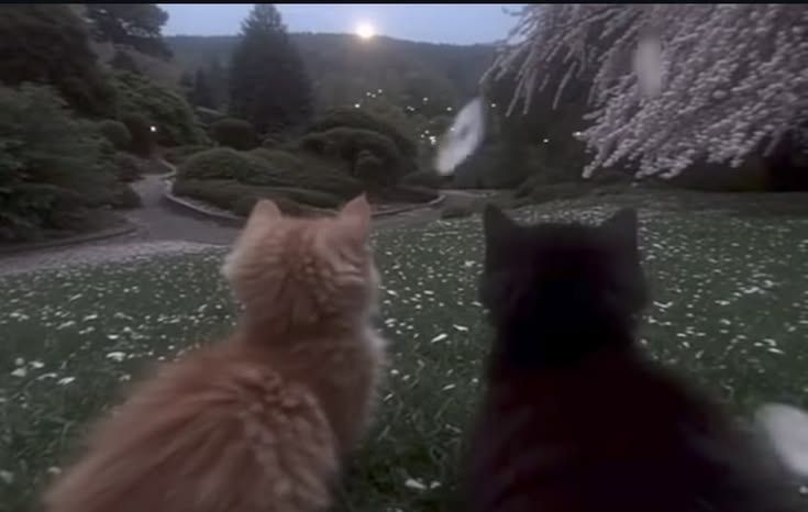 <3