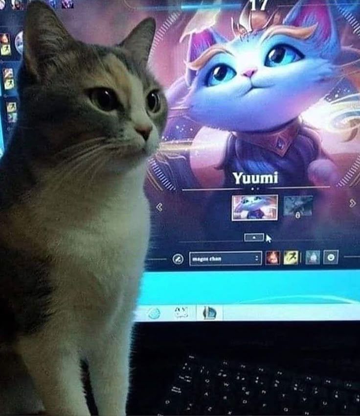 me go support me go heal