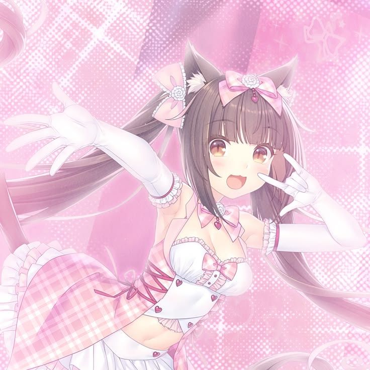 kitty is available~