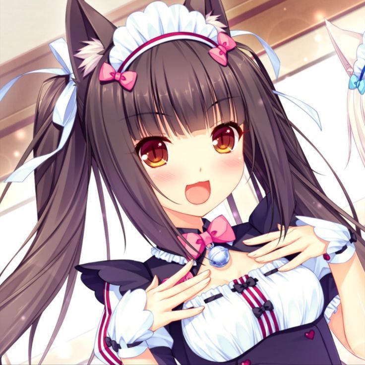 nyah~ available
