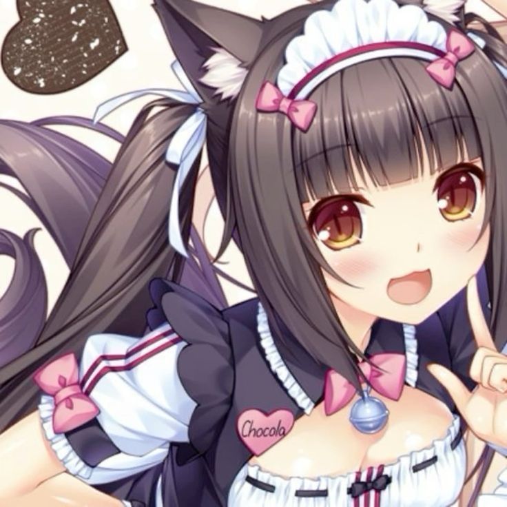 nyah~ availablee