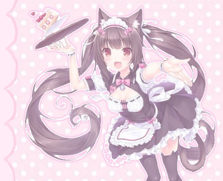 kitty is available~