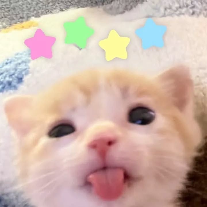 🎀