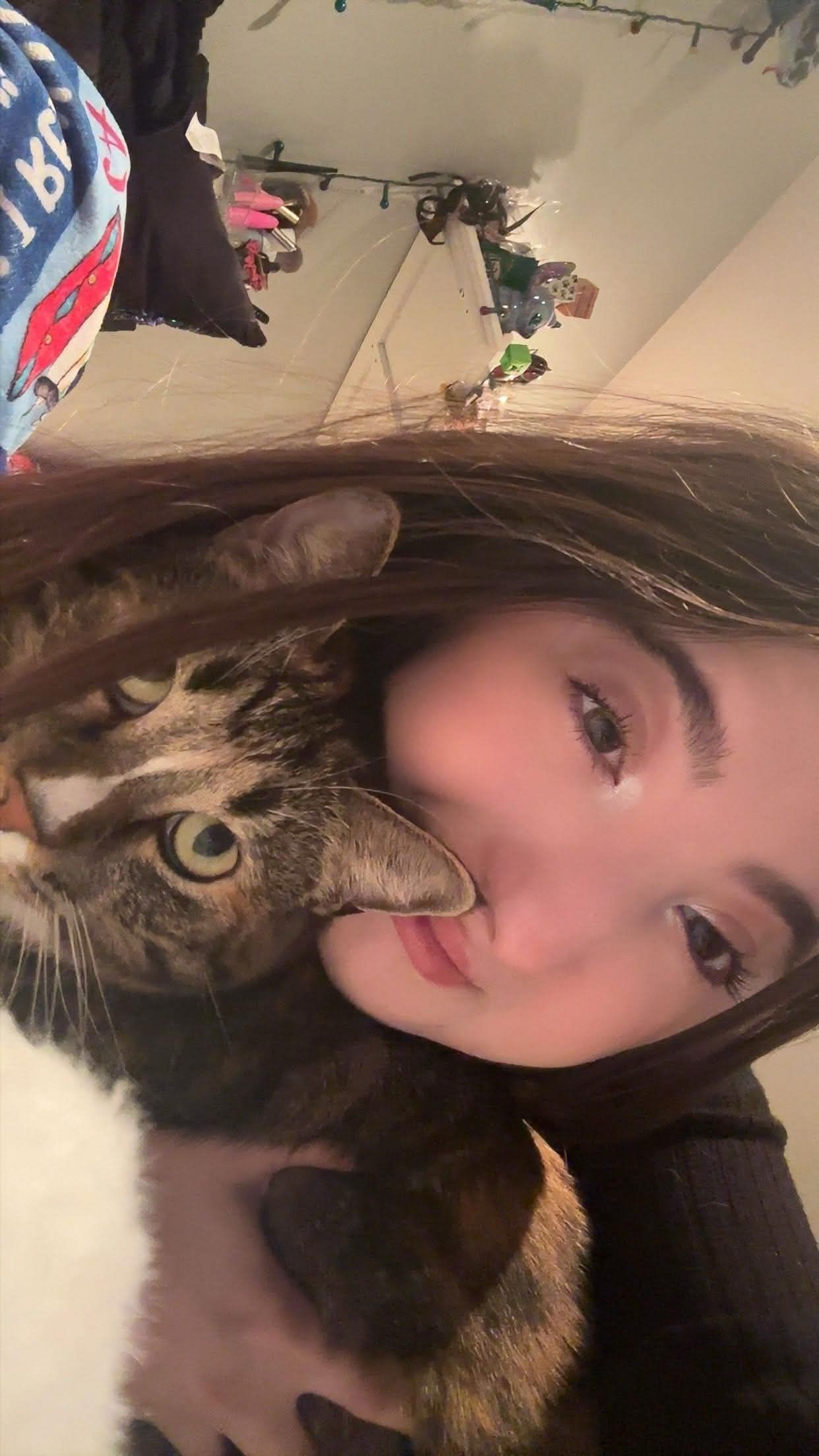 say hi to my kitty