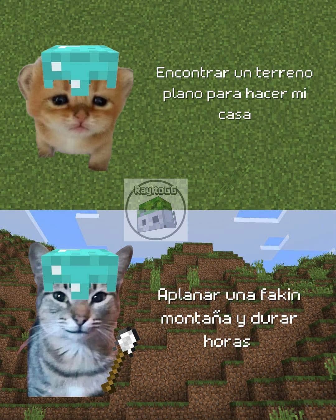 Como debe ser - As it should be