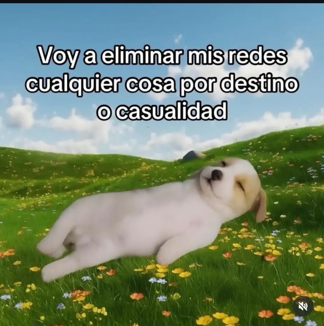 Cualquier cosa por servicios o propinas