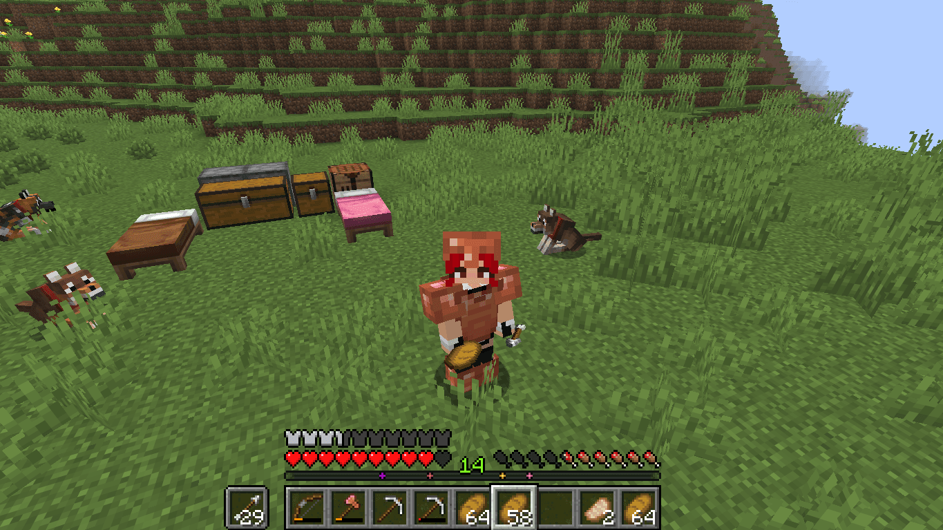 nuevo server con mi kumunidad